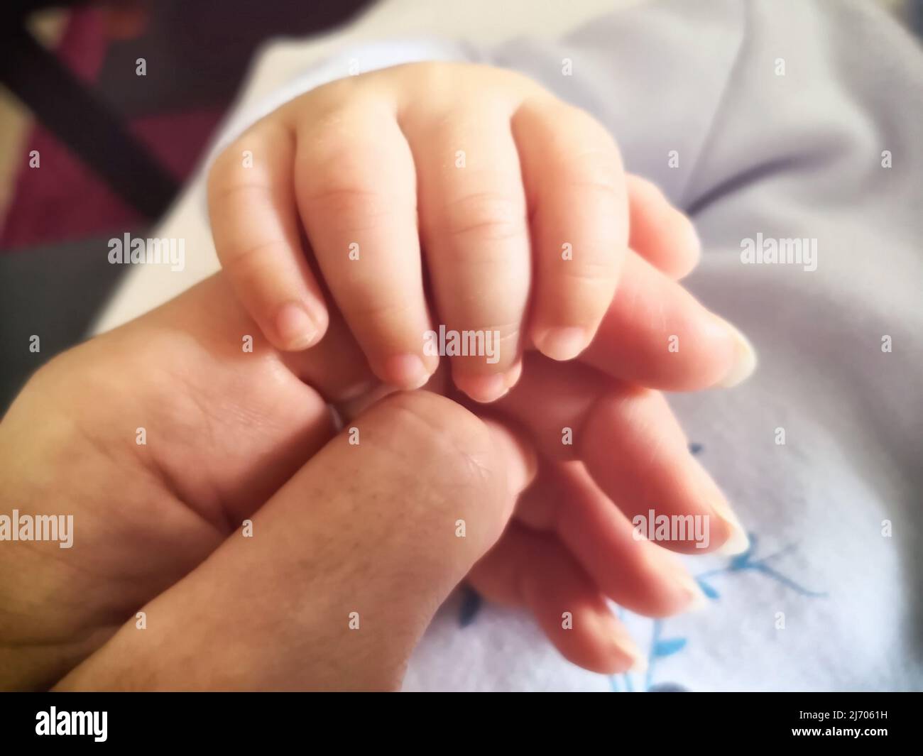 Nahaufnahme der Hand, die die Babyhand hält Stockfoto