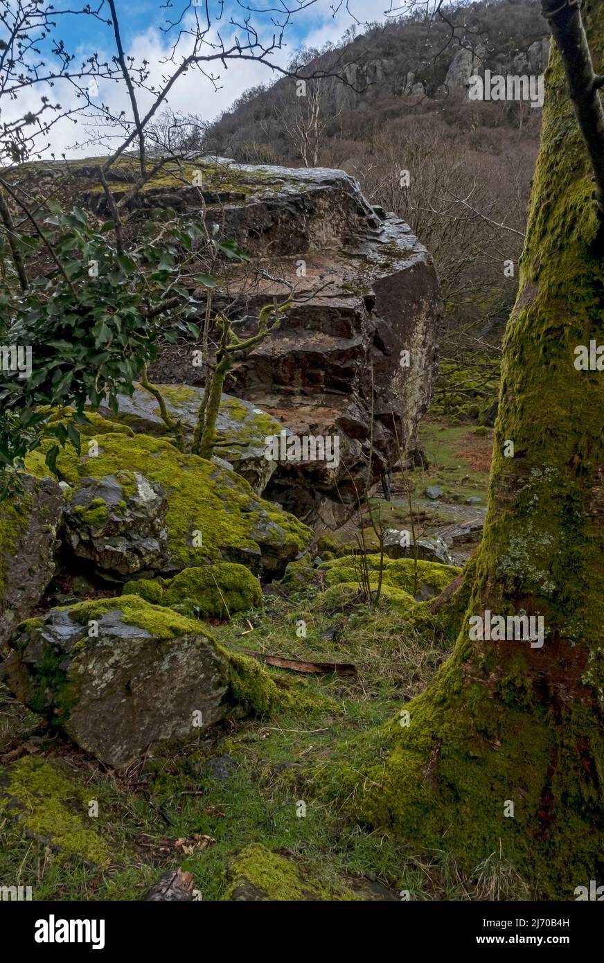 The Bowder Stone im Frühling Borrowdale Valley Lake District National Park Cumbria England Vereinigtes Königreich GB Großbritannien Stockfoto