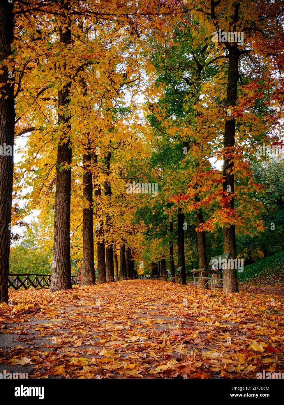 Spaziergang im Valentino Park, Turin. Stockfoto