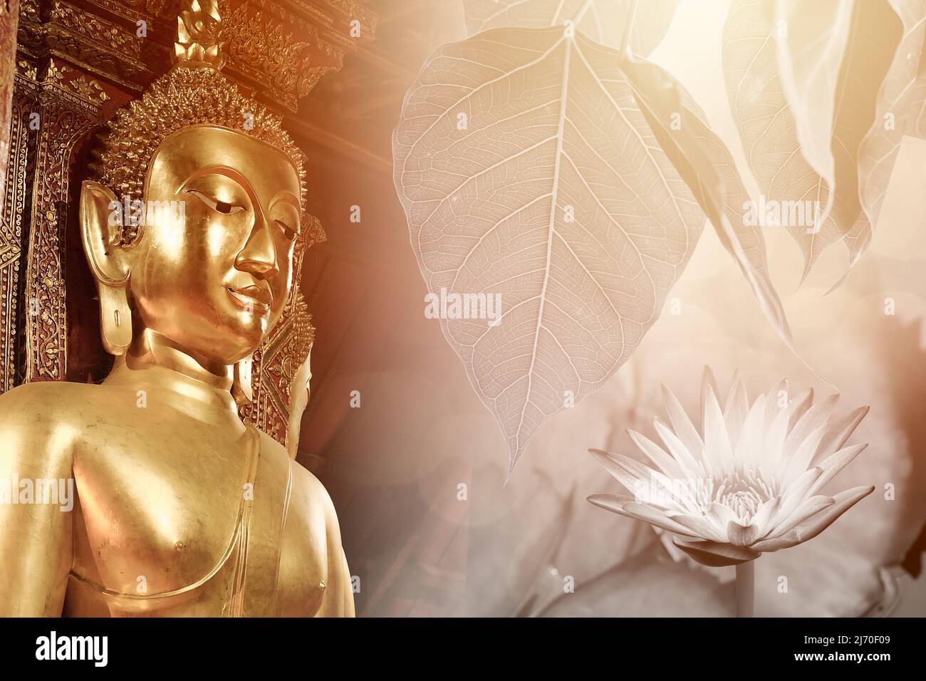 Asiatischer Buddha im thailändischen Tempel mit Lotus Bodhi Symbol für Weisheit Frieden und Nirvana Stockfoto