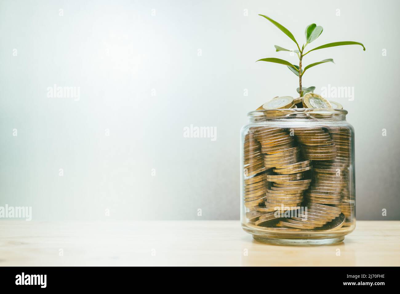 Münzeinsparungssammlung im Glas mit Pflanzen wachsen für wachsenden Wohlstand persönliches Einkommen Stockfoto