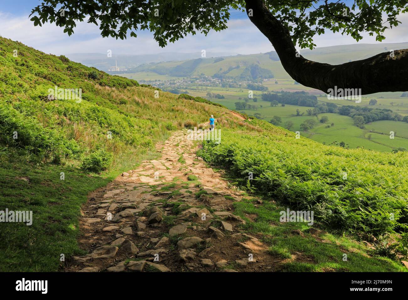 Eine Frau, die vom Mam Tor, einem Hügel in der Nähe von Castleton im High Peak of Derbyshire, Peak District National Park, England, einen gepflasterten Weg hinunter geht Stockfoto