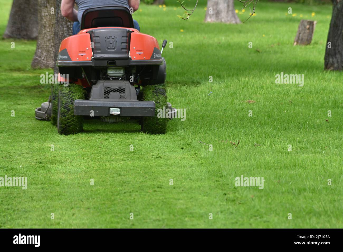 Ein Mann, der auf dem Rasenmäher einen Rasen mäht Stockfoto