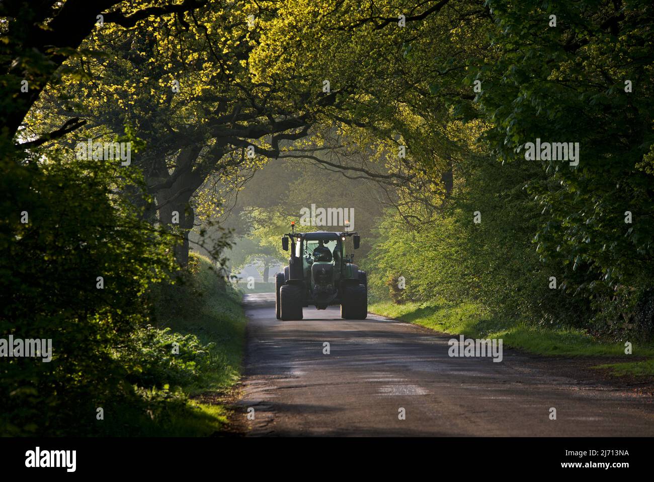 Traktor auf baumgesäumter Landstraße in East Yorkshire, England Stockfoto