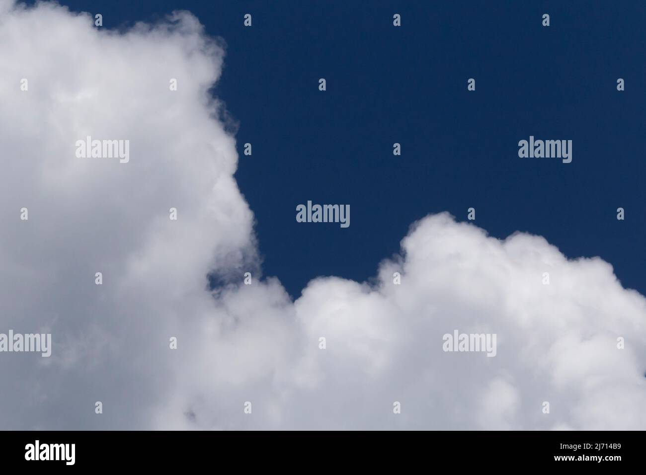 Nahaufnahme einer weißen, flauschigen Wolke am blauen Himmel Stockfoto