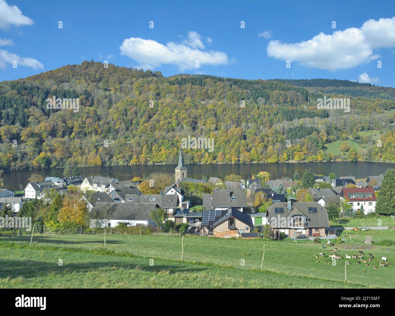 Einruhr am Rursee in der Eifel Stockfoto