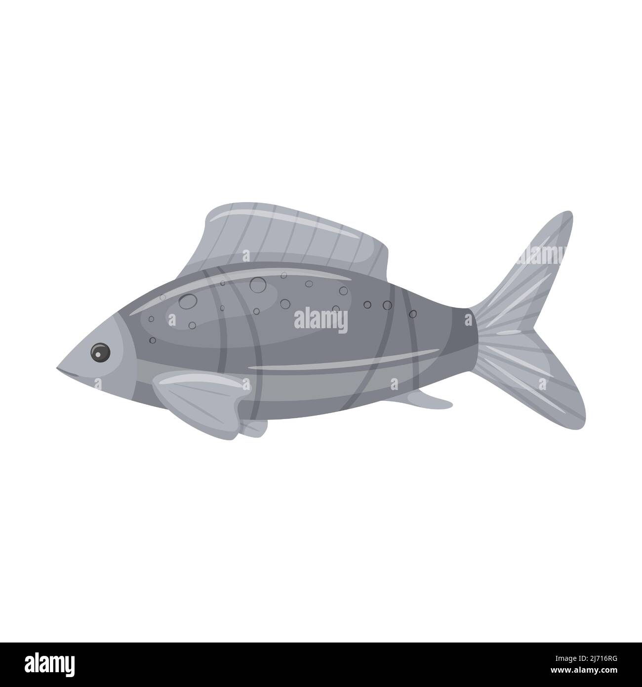 Roher, frischer grauer Fisch. Marine, Flusstier. Flache Cartoon-Vektor-Illustration isoliert auf weißem Hintergrund Stock Vektor