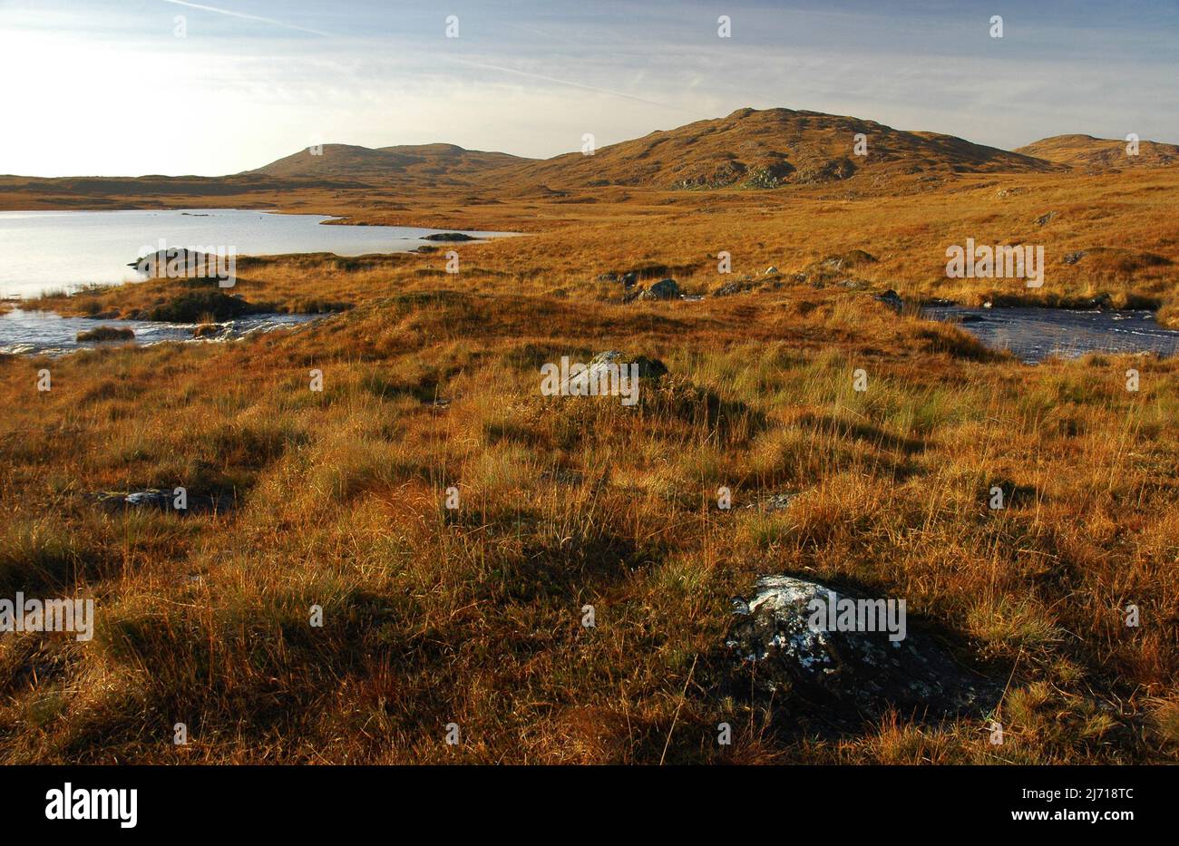 Grasmoor von Connemara im Winter, Grafschaft Galway im Westen Irlands. Stockfoto