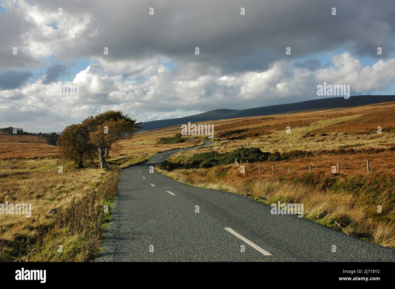 Auffahrt durch die grasbewachsene Landschaft der Grafschaft Wicklow Irland. Stockfoto