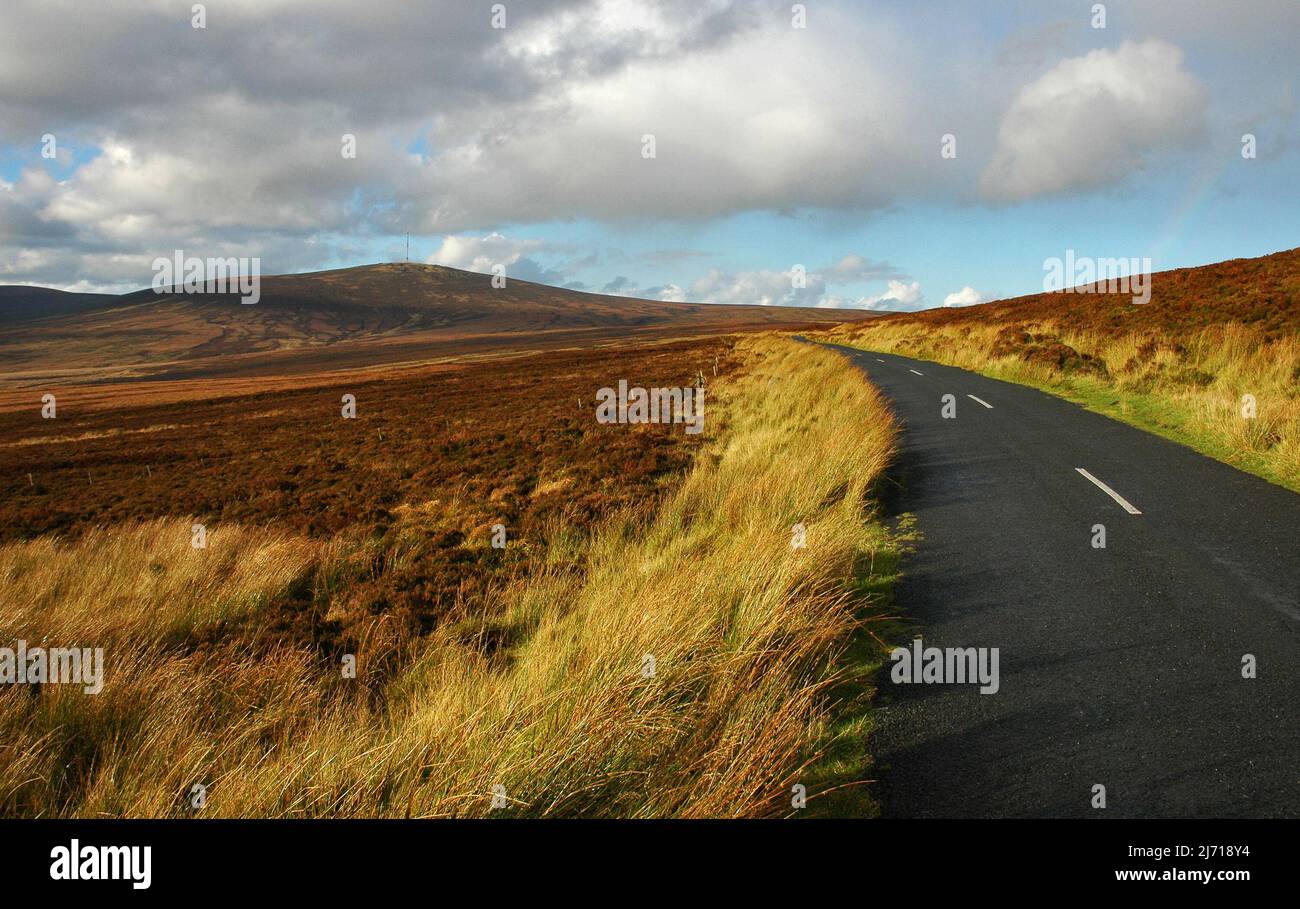 Auffahrt durch die grasbewachsene Landschaft der Grafschaft Wicklow Irland. Stockfoto