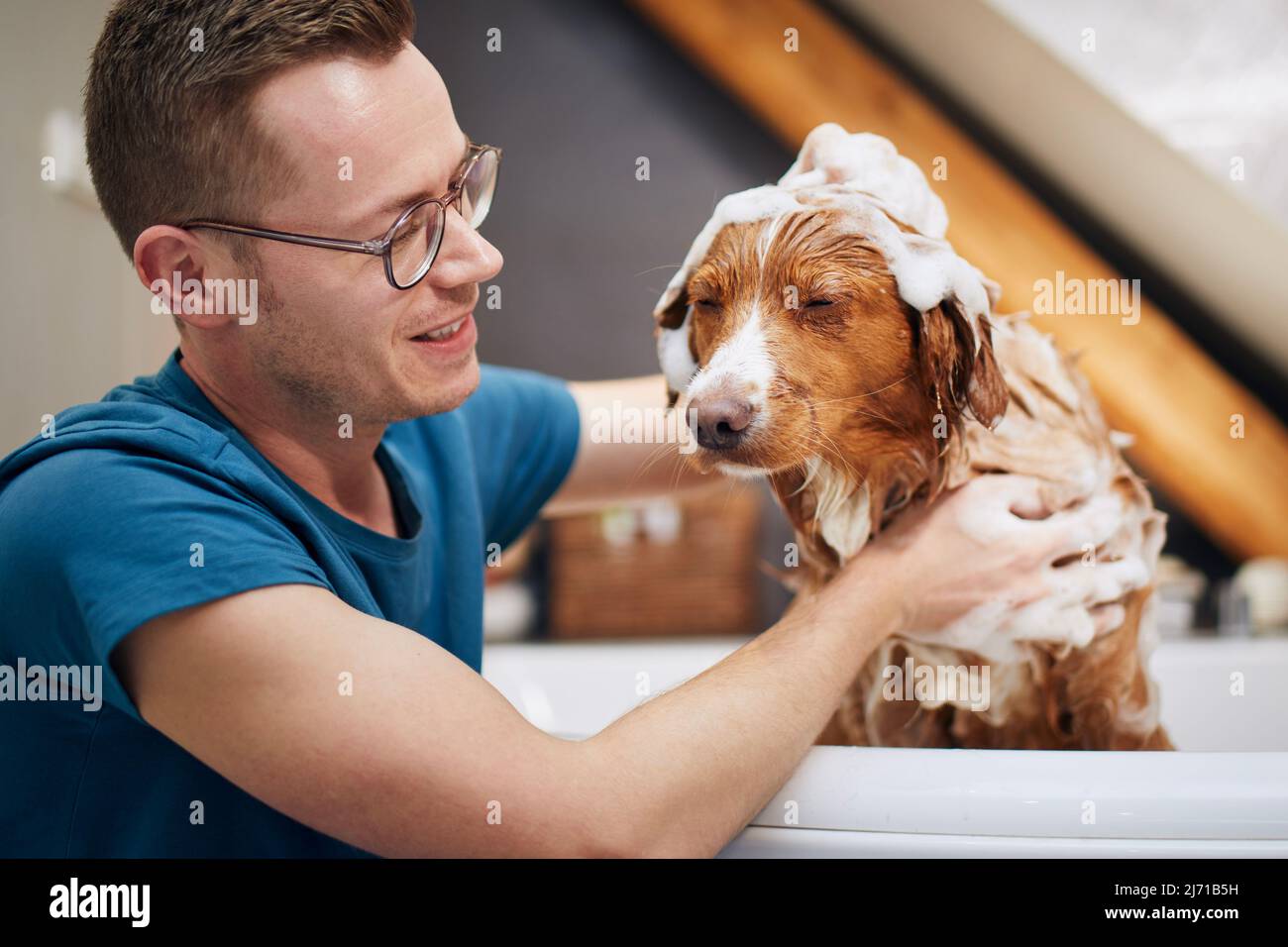 Hund nimmt Bad zu Hause. Baden von Nova Scotia Duck Tolling Retriever. Stockfoto