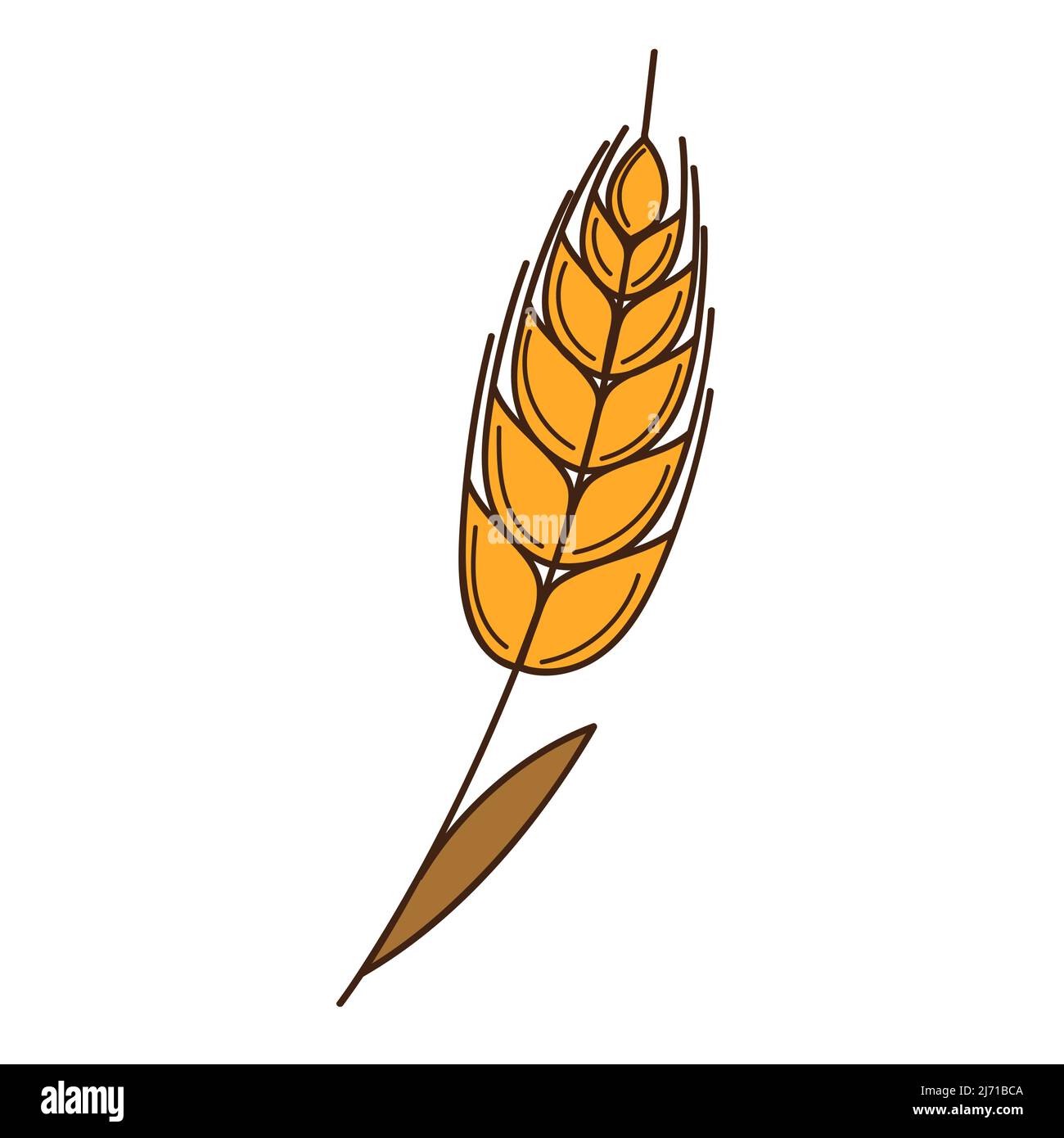 Gelber Weizen, Roggenspikelet. Ein Symbol des Herbstes, die Ernte. Designelement mit Umriss. Doodle, handgezeichnet. Flaches Design. Darstellung von Farbvektoren. Isol Stock Vektor