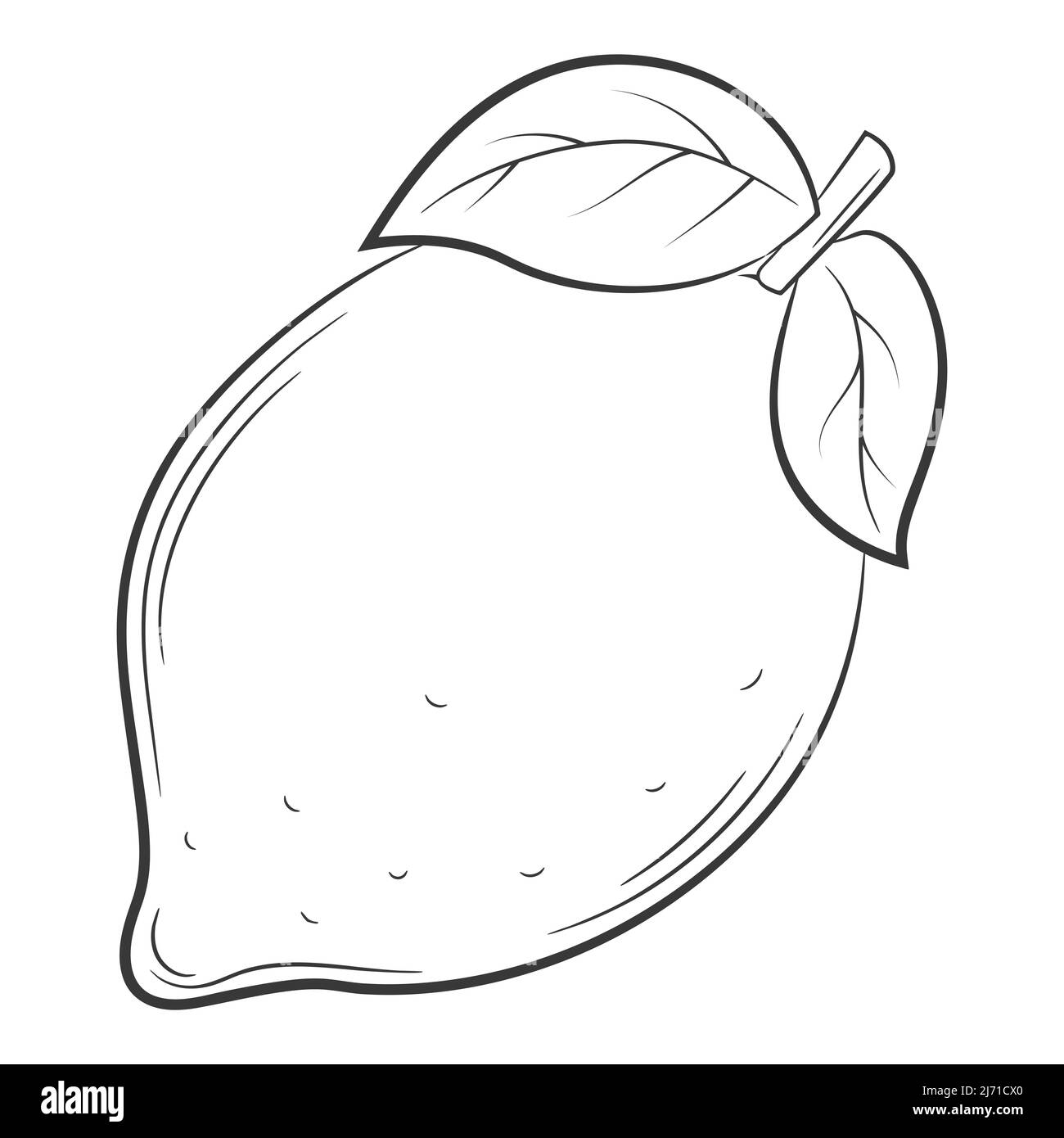 Zitrone, Frucht im linearen Stil. Schwarz-Weiß Vektor dekoratives Element, von Hand gezeichnet.isoliert auf weißem Hintergrund Stock Vektor