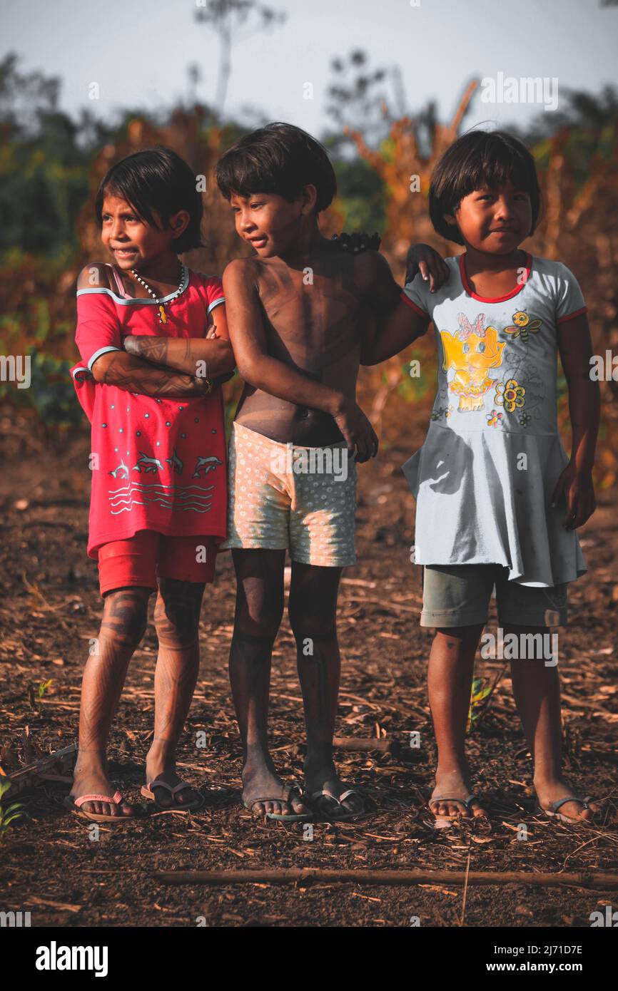 Kinderarmut in Brasilien. Gruppe indischer Kinder aus Pará State, Baixo Amazonas, Amazonas, Brasilien. 2010. Stockfoto