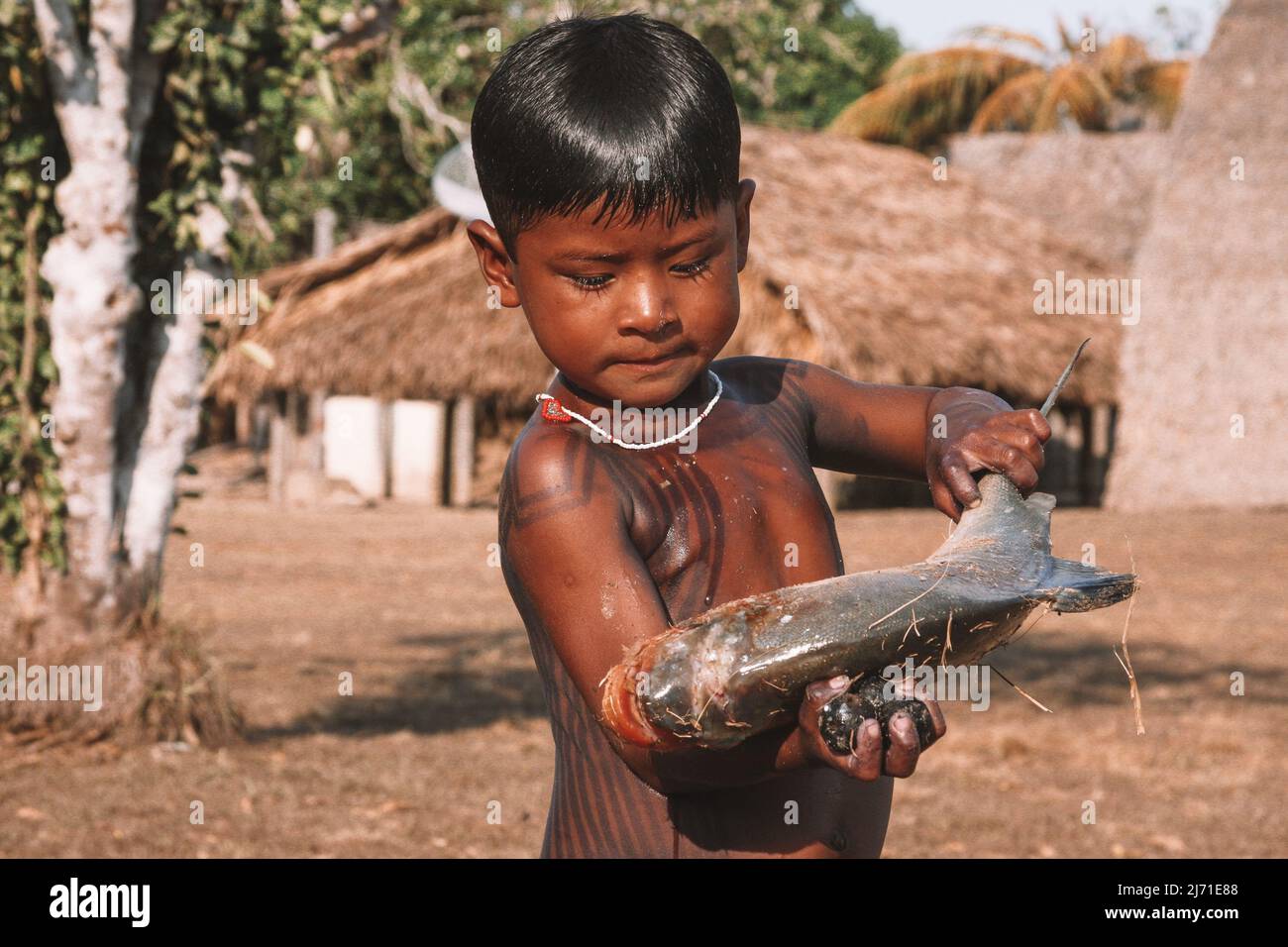 Indisches Kind aus dem Stamm der Asurini im brasilianischen Amazonas, das mit seinen kleinen Händen einen Fisch hält. Stockfoto