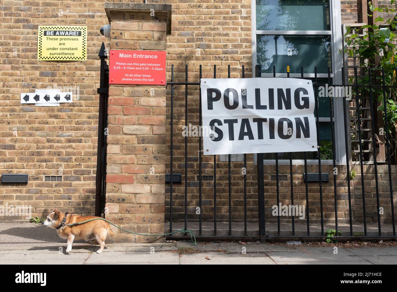 London, Großbritannien. 5. Mai 2022. (220505) -- LONDON, 5. Mai 2022 (Xinhua) -- Am 5. Mai 2022 Wird Ein Hund vor einem Wahllokal in London, Großbritannien, gefesselt. Wahllokale in ganz Großbritannien wurden am frühen Donnerstag eröffnet, als die Wähler für Kommunalwahlen anreisten. (Foto von Ray Tang/Xinhua) Quelle: Xinhua/Alamy Live News Stockfoto