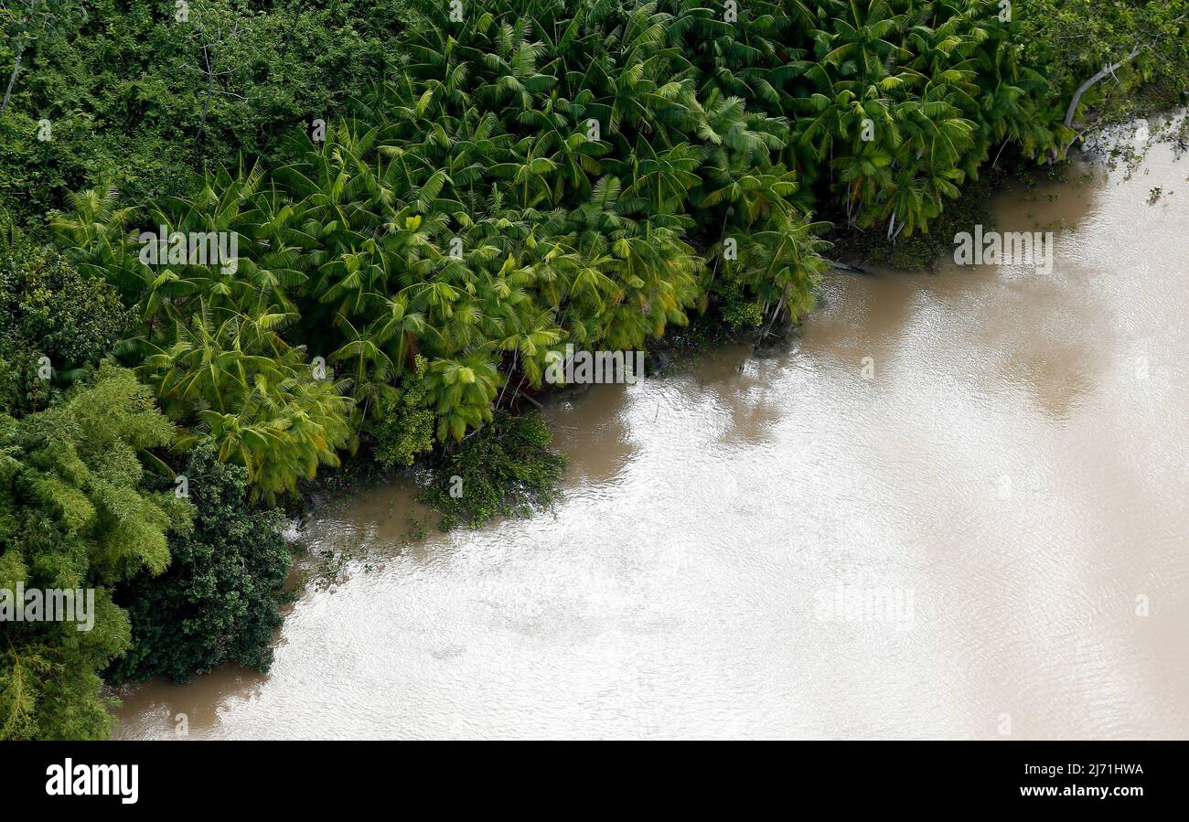 Luftaufnahme einer Mangrove im Amazonas in Brasilien. Stockfoto