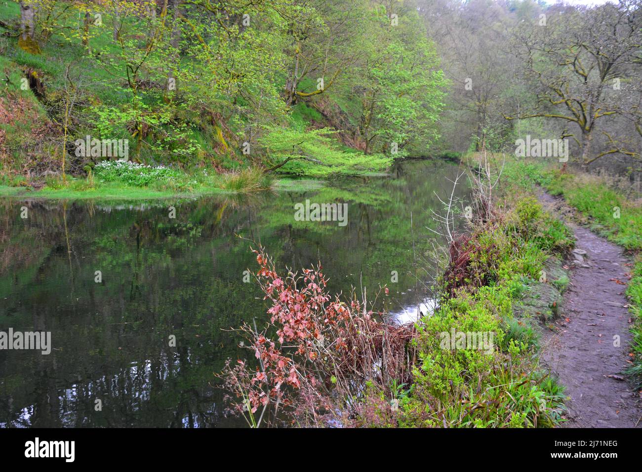 Mill Pond, Hardcastle Crags, West Yorkshire Stockfoto