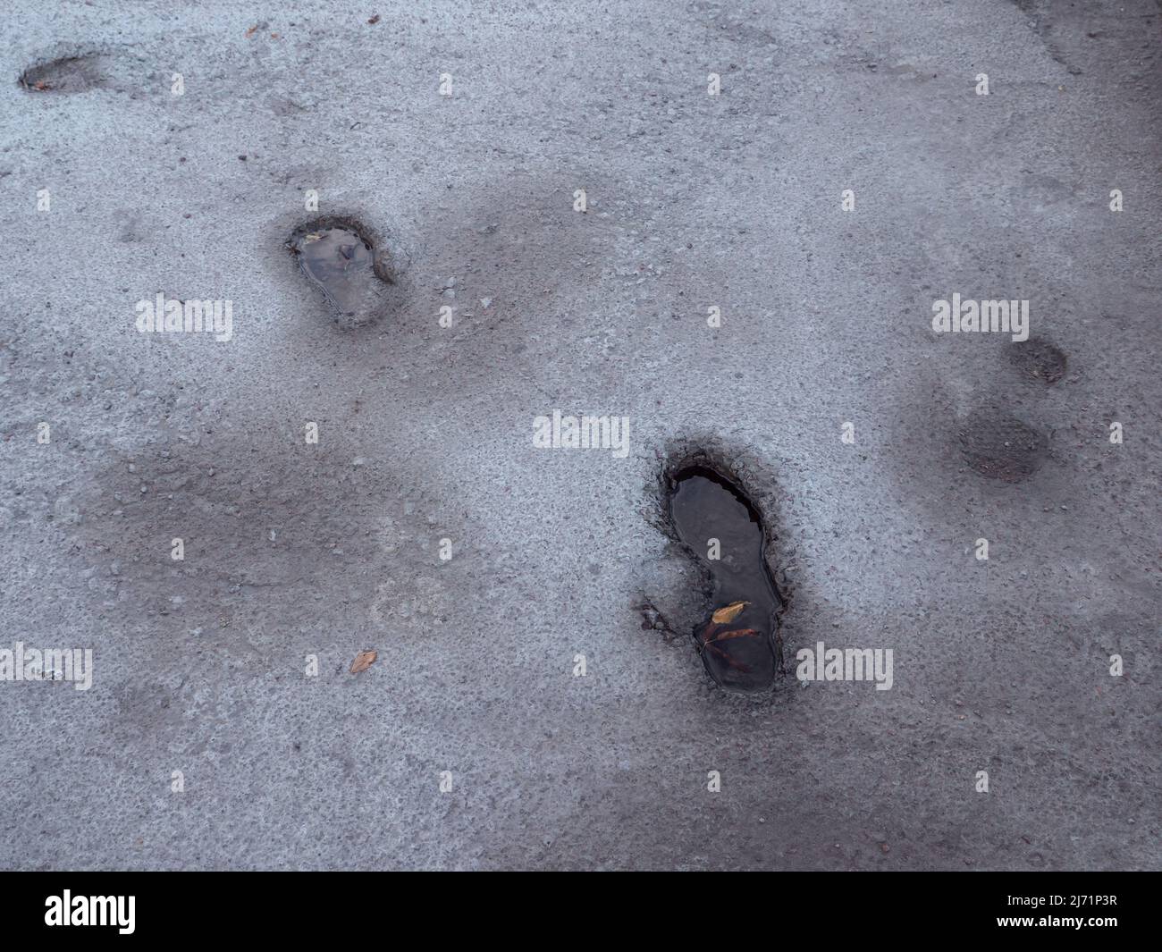 Tiefe Schritte, eingebettet in feuchten Zement und gefüllt mit Wasser nach dem Regen, und Herbstblatt schwimmend in ihm. Stockfoto
