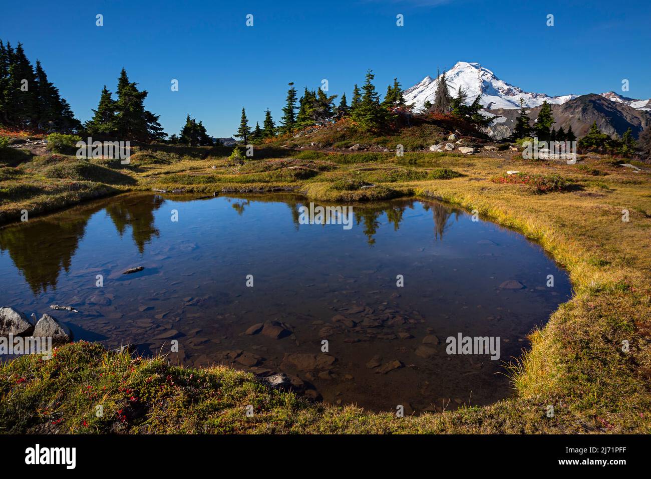 WA21494-00...WASHINGTON - Small tarn on Table Mountain und Mount Baker in der Ferne in der Mount Baker Wilderness Area. Stockfoto