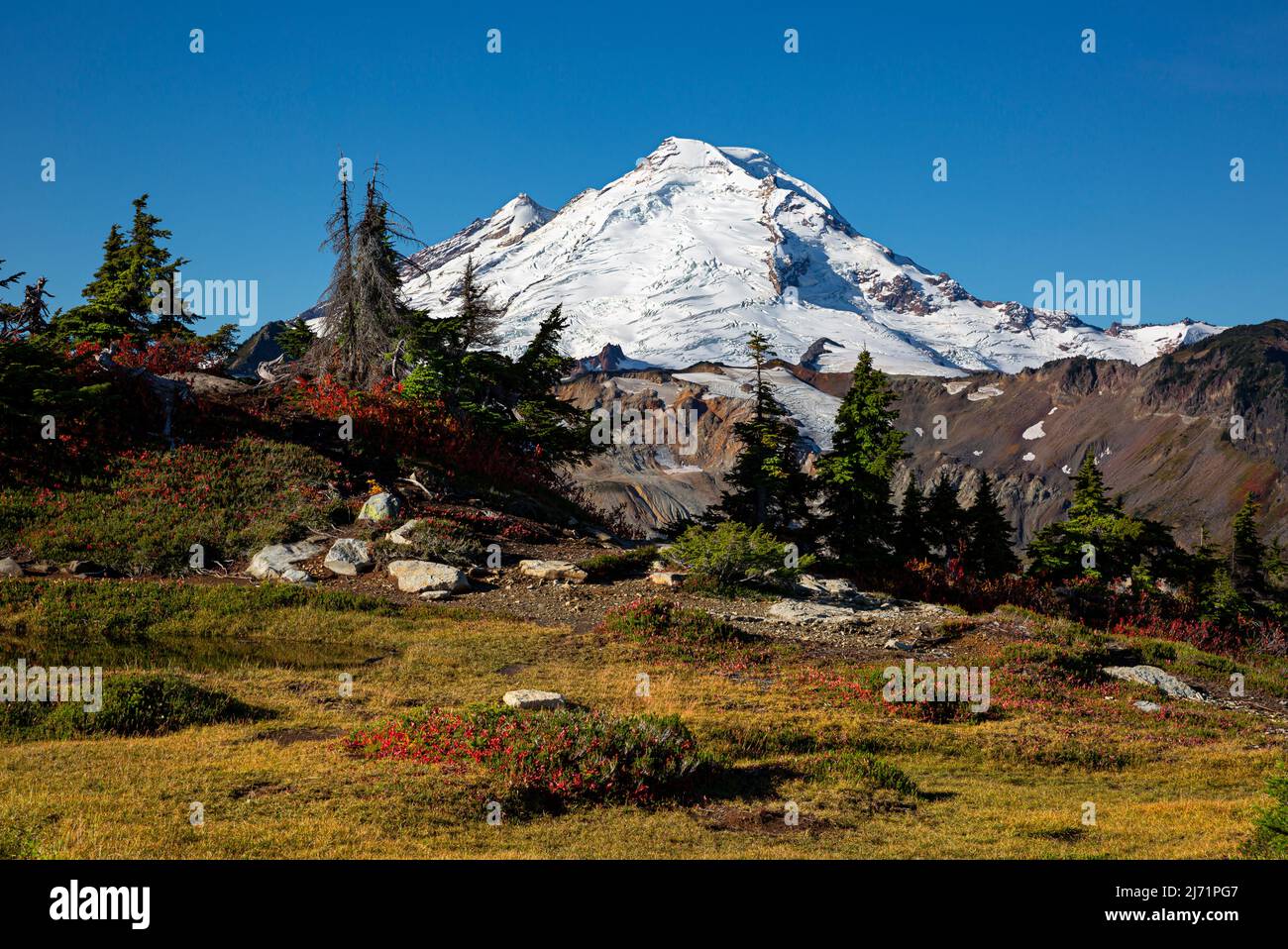WA21495-00...WASHINGTON - Mount Baker vom Tafelberg aus gesehen in der Mount Baker Wilderness Gegend. Stockfoto