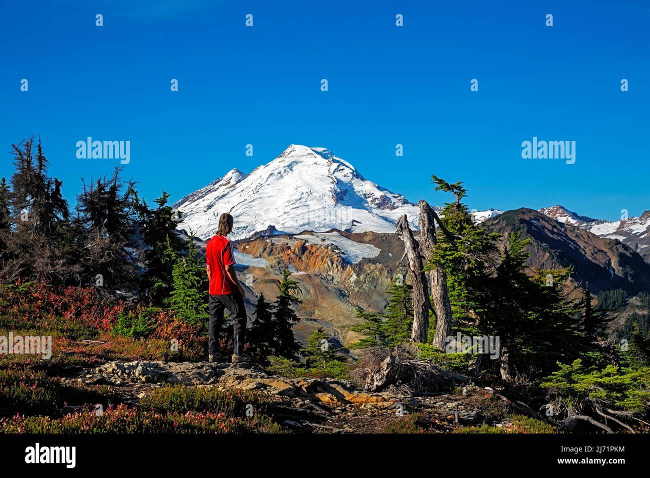 WA21497-00...WASHINGTON - Wanderer auf dem Tafelberg-Gipfel in Mount Baker Wilderness. Stockfoto