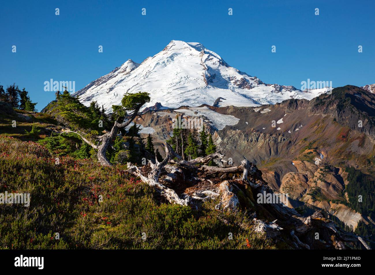 WA21498-00...WASHINGTON -Mount Baker vom Tafelberg aus gesehen in der Mount Baker Wilderness Area. Stockfoto