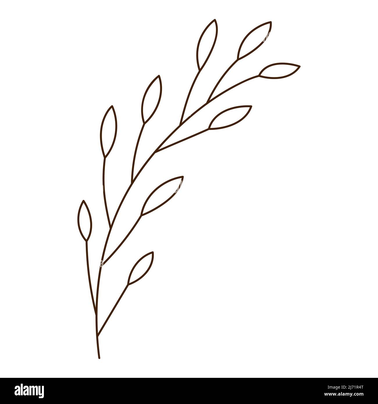 Abstrakter Zweig mit Blättern. Ein Grashalm. Herbstzeit. Botanisches, pflanzliches Designelement mit Umriss. Doodle, handgezeichnet. Flaches Design. Schwarz-weiß V Stock Vektor