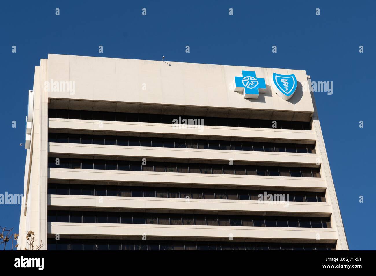 Detroit, MI, USA - 26. Dezember 2021: Blue Cross Blue Shield Logo auf dem Gebäude. Stockfoto