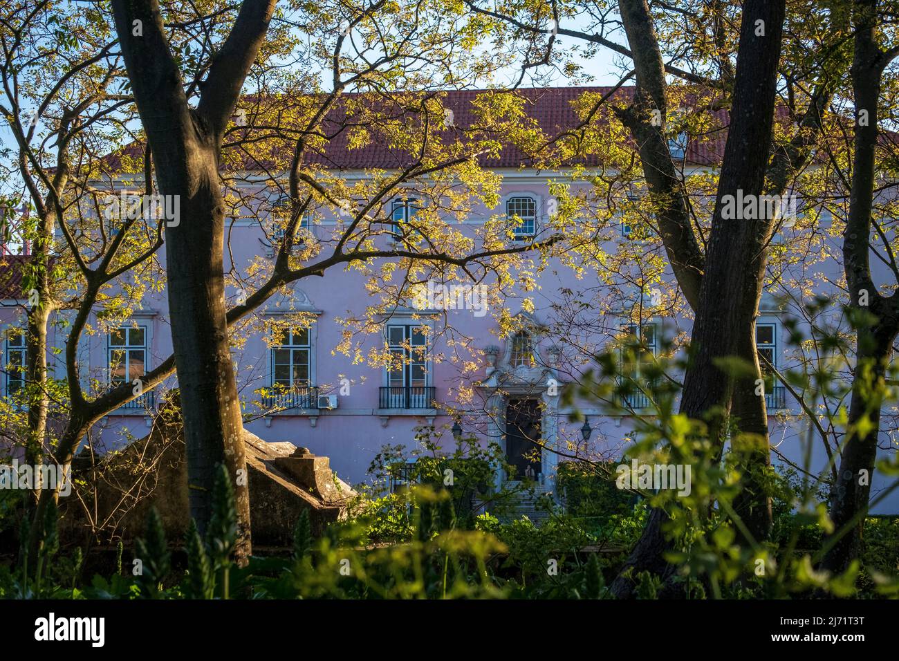 Frühlingsbelaubung im Palacio das Necessidades, Lissabon, Portugal Stockfoto