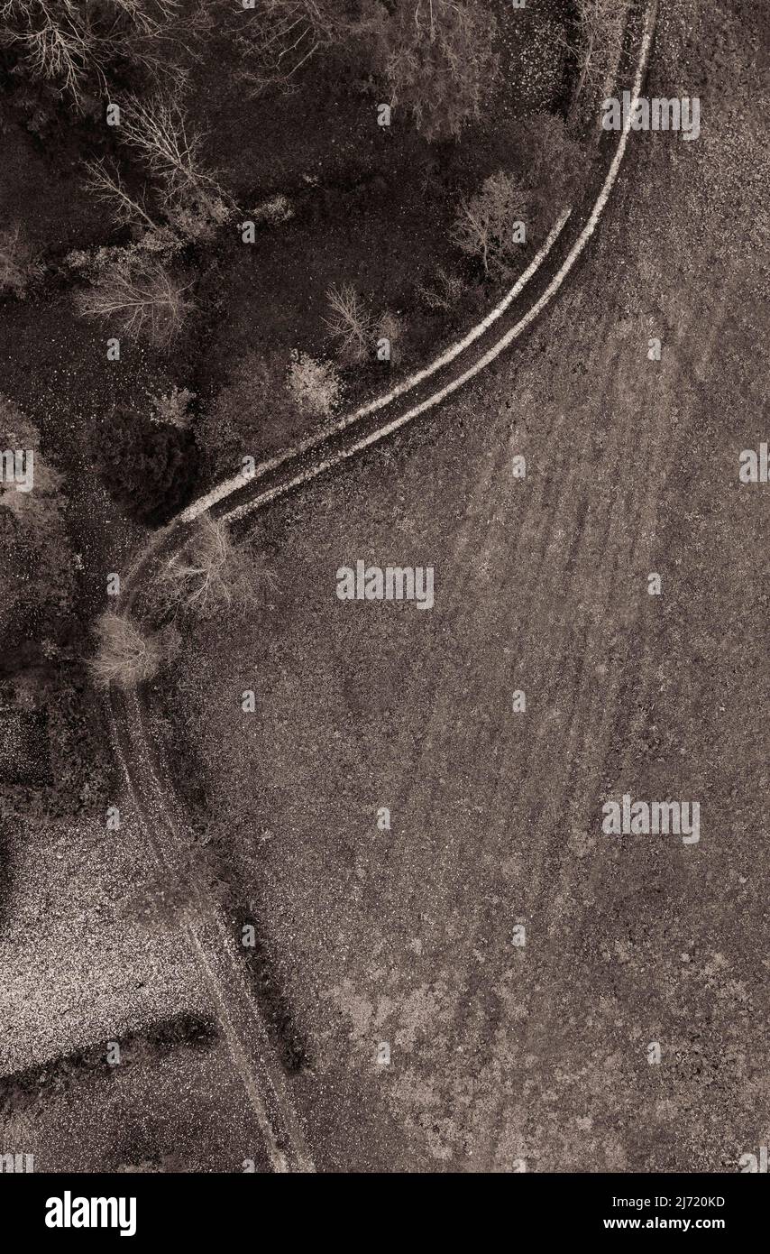 Sepiafarben, herbstlich verfaerter Laubbäume mit Feldweg, Drohenaufnahme, Luftaufnahme, Mondseeland, Salzkammergut, Oberoesterreich, Oesterreich Stockfoto