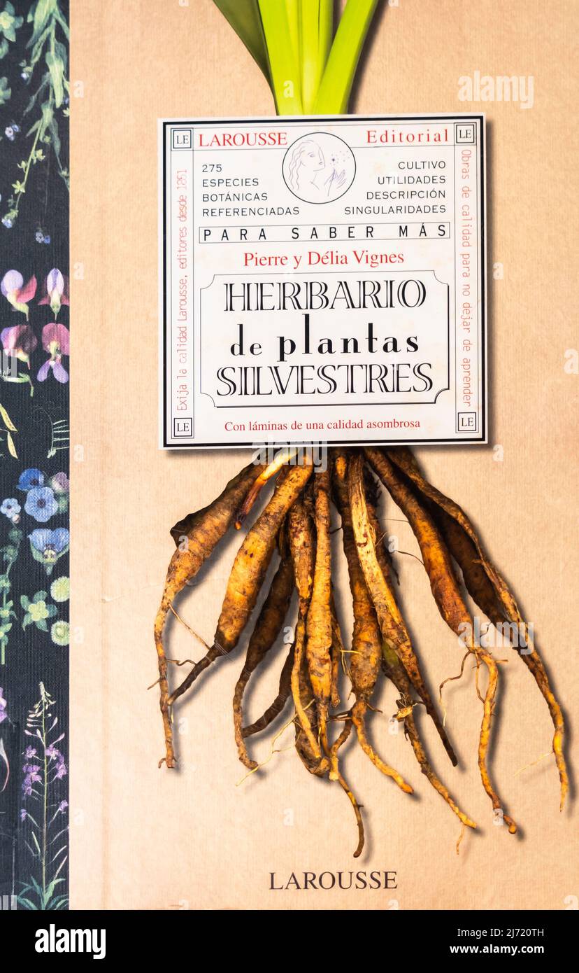 Herbario de plantas silvestres. Larousse Buchcover in spanischer Ausgabe. Stockfoto
