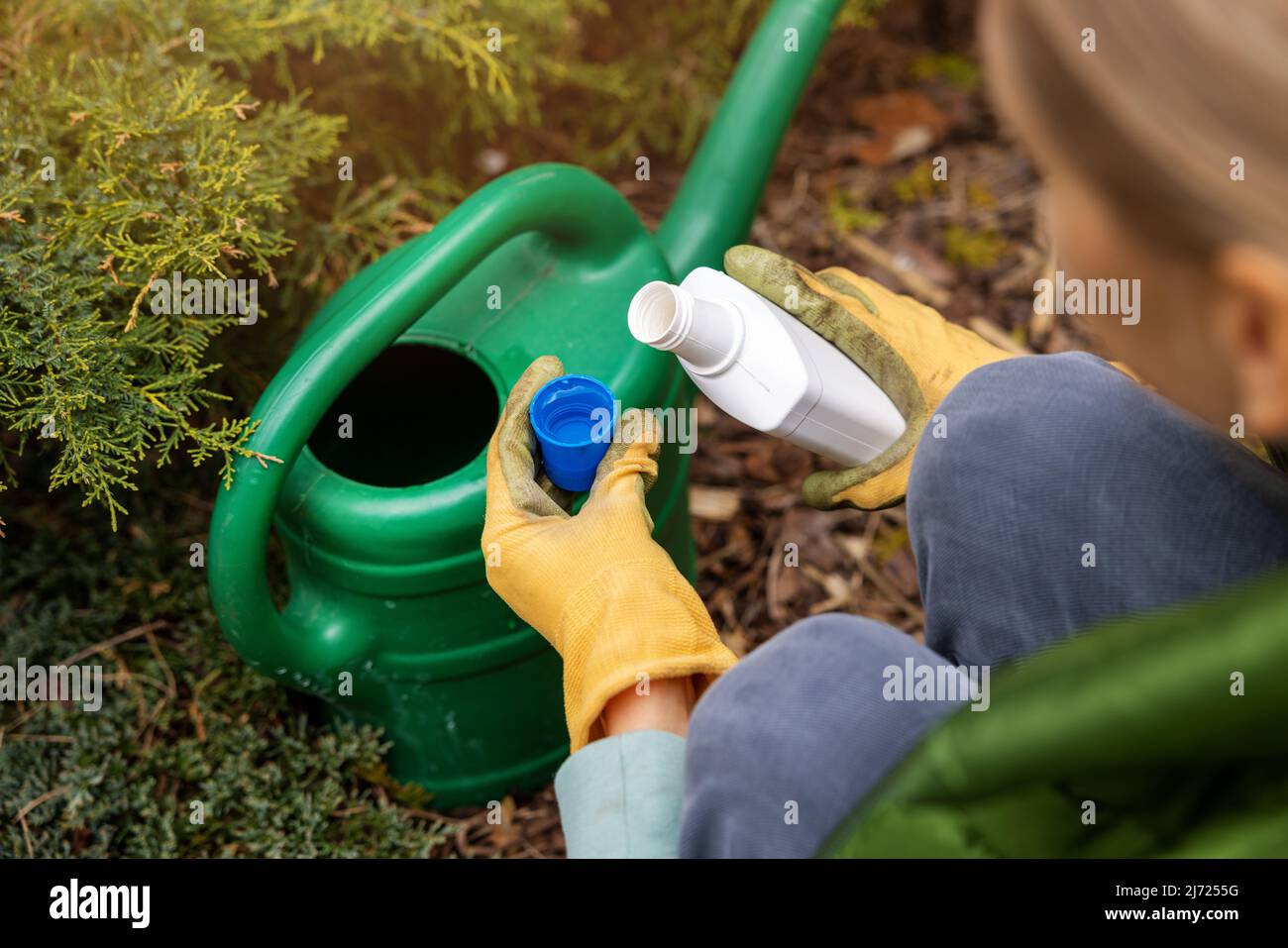 Frau gießt flüssigen Mineraldünger in Gießkanne für Gartenpflanzen Stockfoto