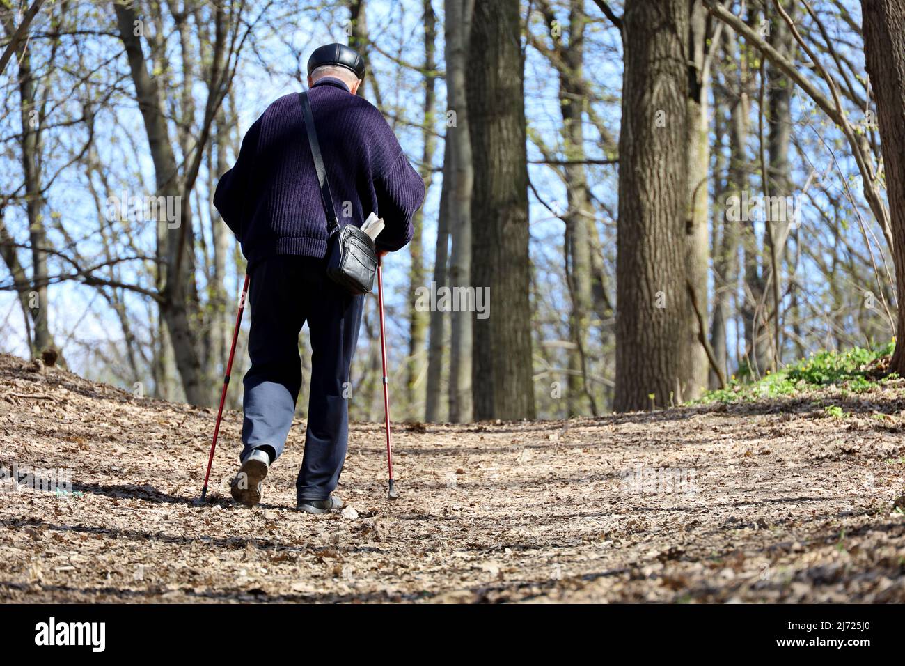 Nordic Walking, älterer Mann geht mit Stöcken im Frühlingswald. Sportübungen für gesunde Wirbelsäule und Gelenke im Frühjahr, Therapie für die Gesundheit Stockfoto