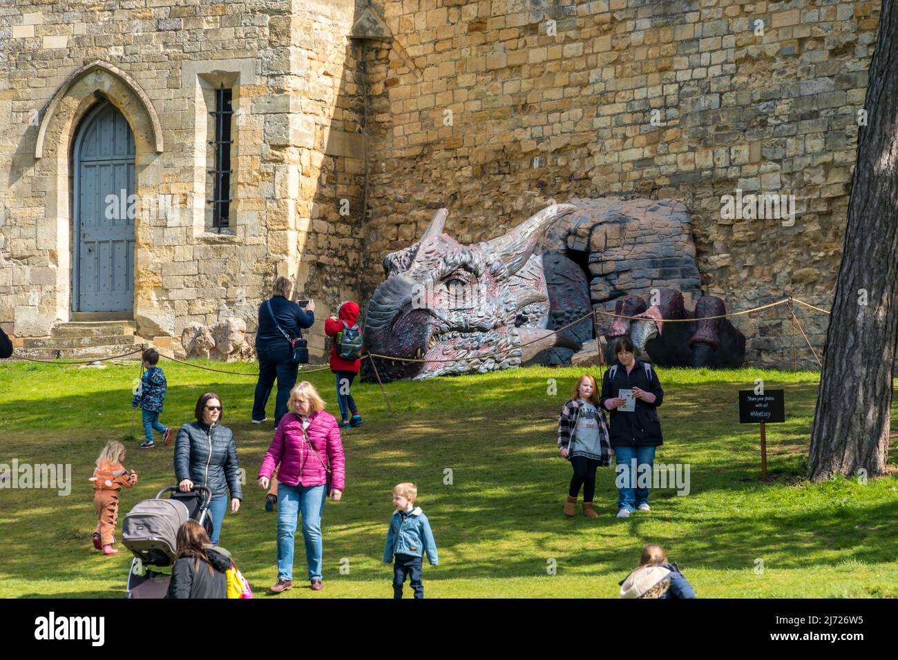 Drachenkopf ragt durch die Lincoln Castle Wall 2022 Stockfoto