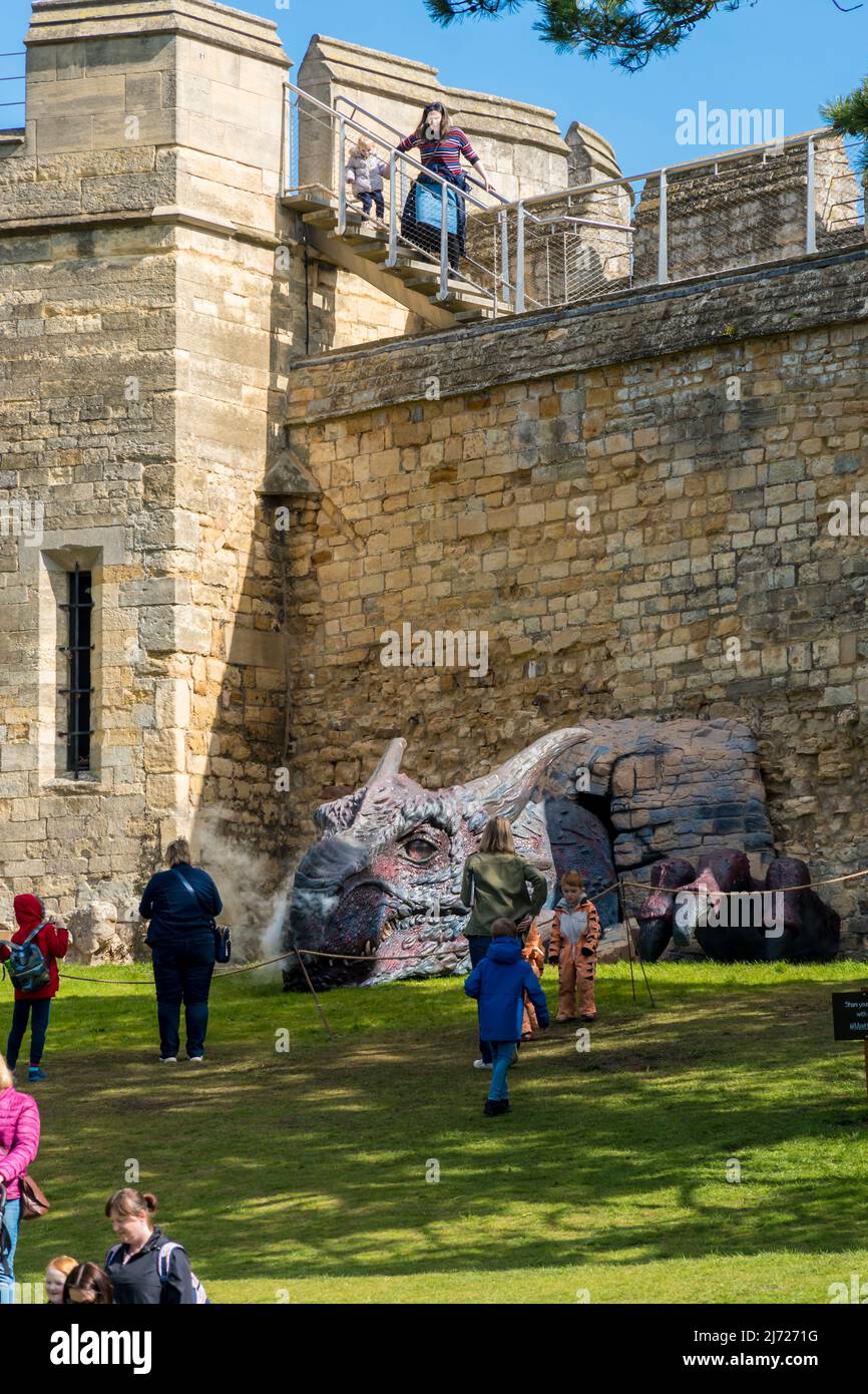 Lucy, der Drache, der Rauch bläst, während er sich auf dem Lincoln Castle ausruhte Stockfoto