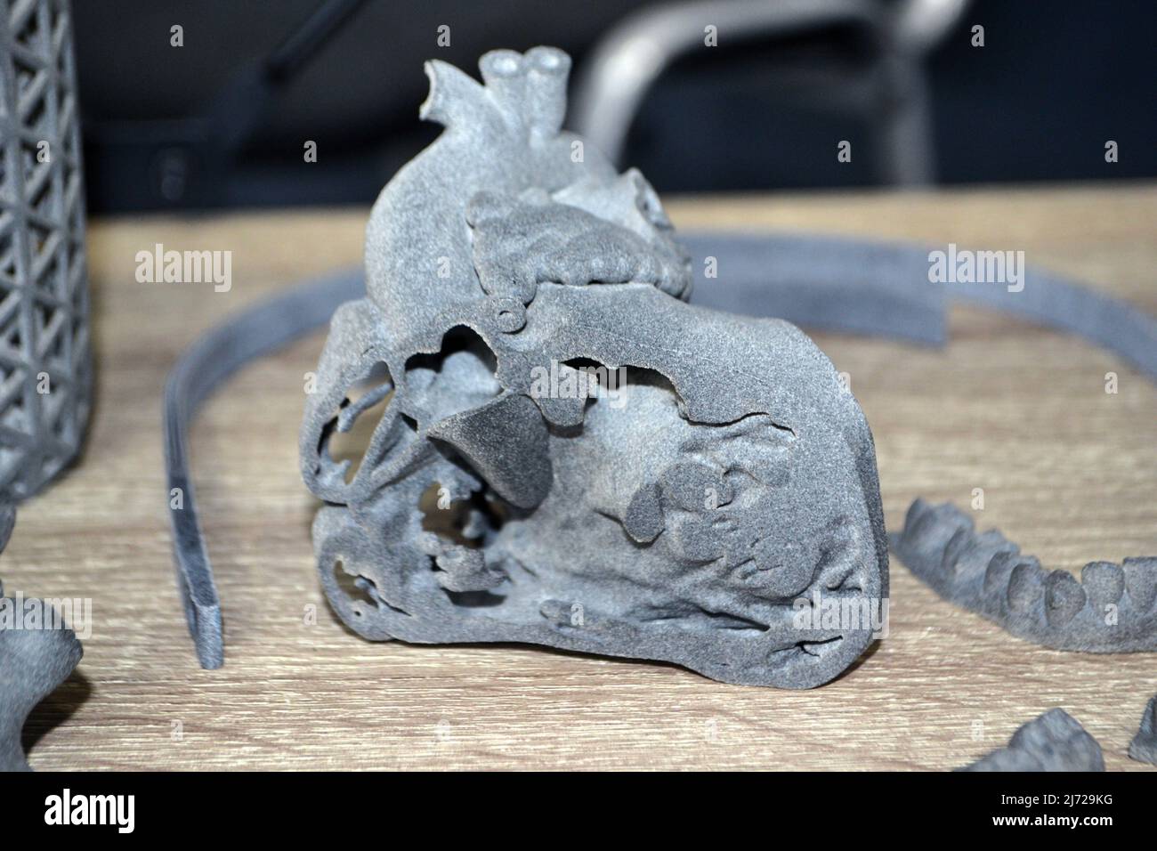 Prototyp der Hälfte des geschnittenen menschlichen Herzens, gedruckt auf dem Drucker 3D. Stockfoto