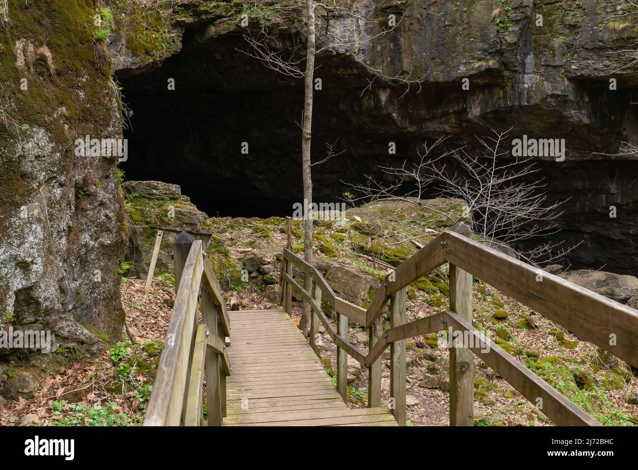 Holzsteg führt zur Dancehall Cave im Maquoketa Caves State Park, Iowa. Stockfoto