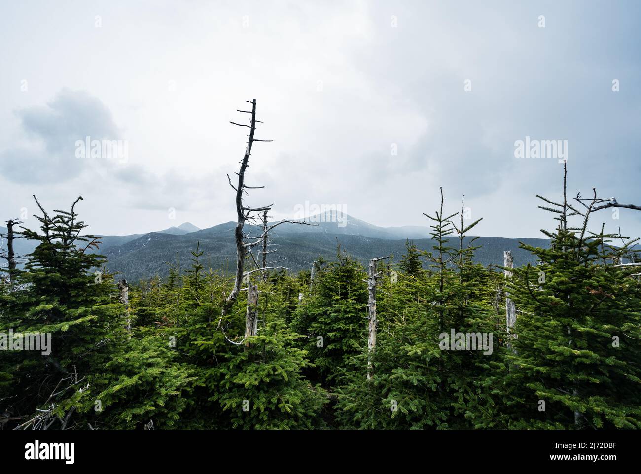 Blick vom Tafelberg, Adirondacks, New York Stockfoto