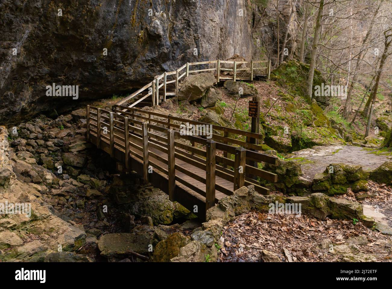Holzsteg entlang der Höhlenwände am Eingang der Unteren Dancehall-Höhle. Maquoketa Caves State Park, Iowa, USA. Stockfoto