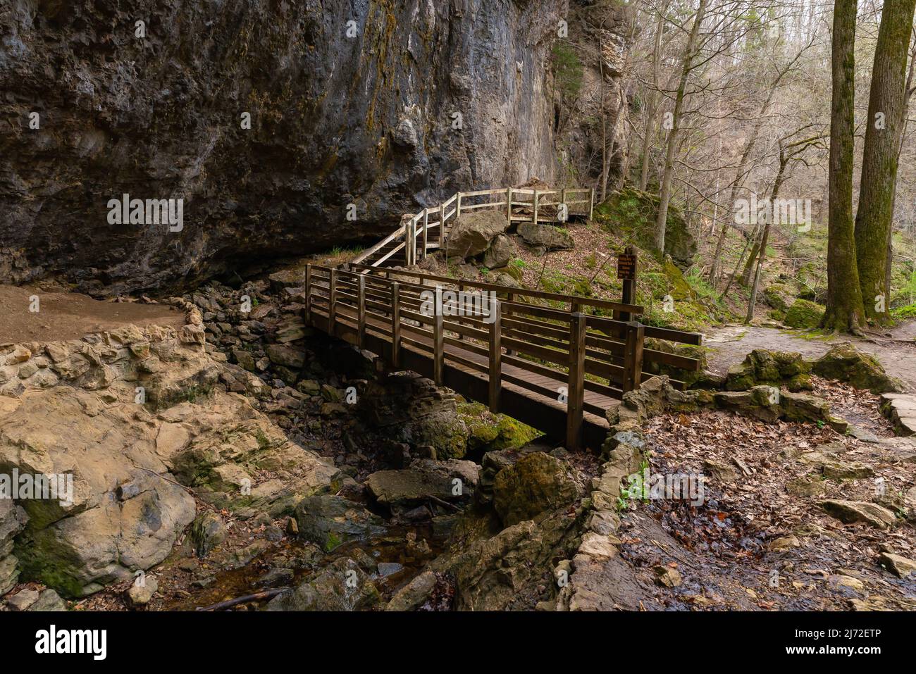 Holzsteg entlang der Höhlenwände am Eingang der Unteren Dancehall-Höhle. Maquoketa Caves State Park, Iowa, USA. Stockfoto