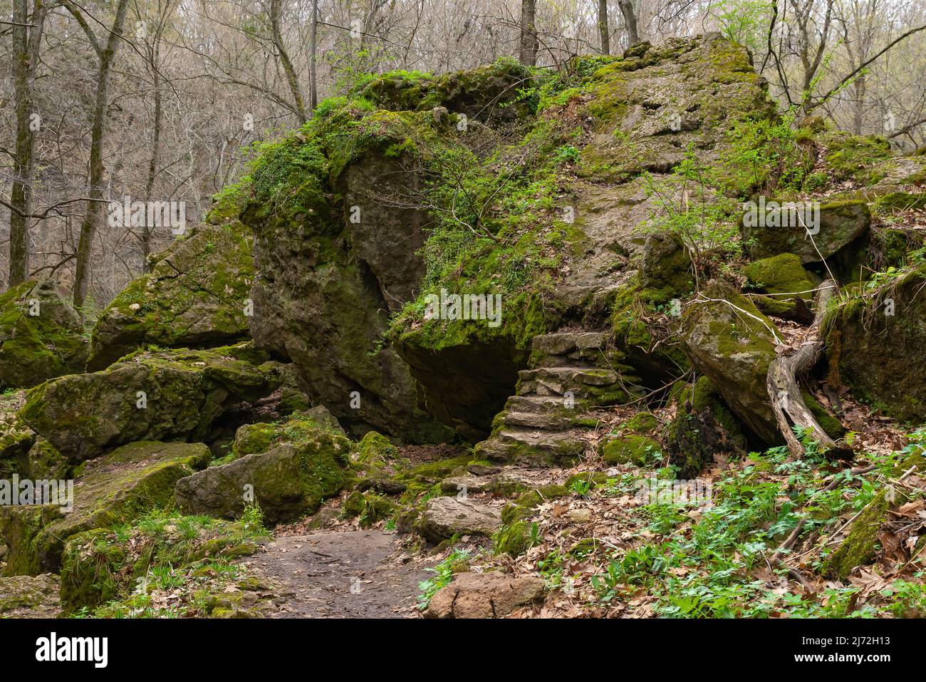 Landschaft im Maquoketa Caves State Park an einem bewölkten Frühlingsmorgen. Stockfoto