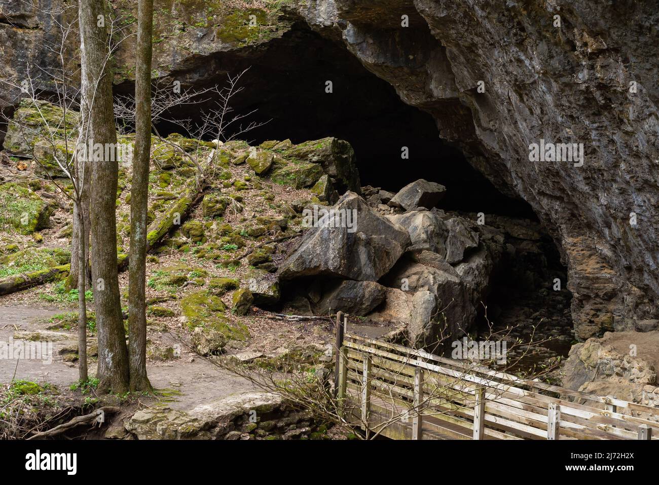 Landschaft im Maquoketa Caves State Park an einem bewölkten Frühlingsmorgen. Stockfoto