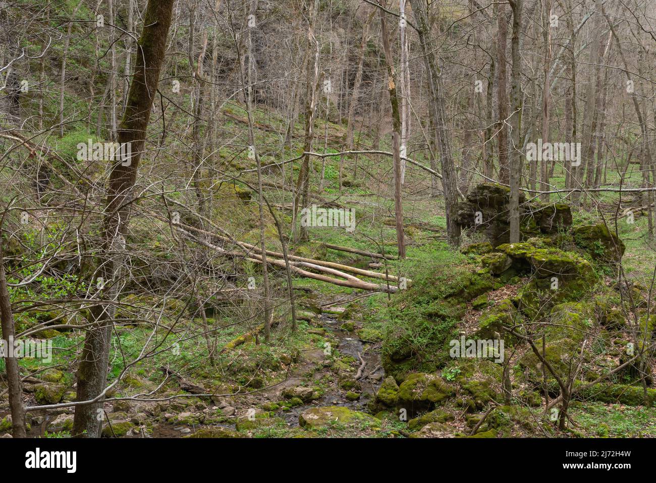 Landschaft im Maquoketa Caves State Park an einem bewölkten Frühlingsmorgen. Stockfoto