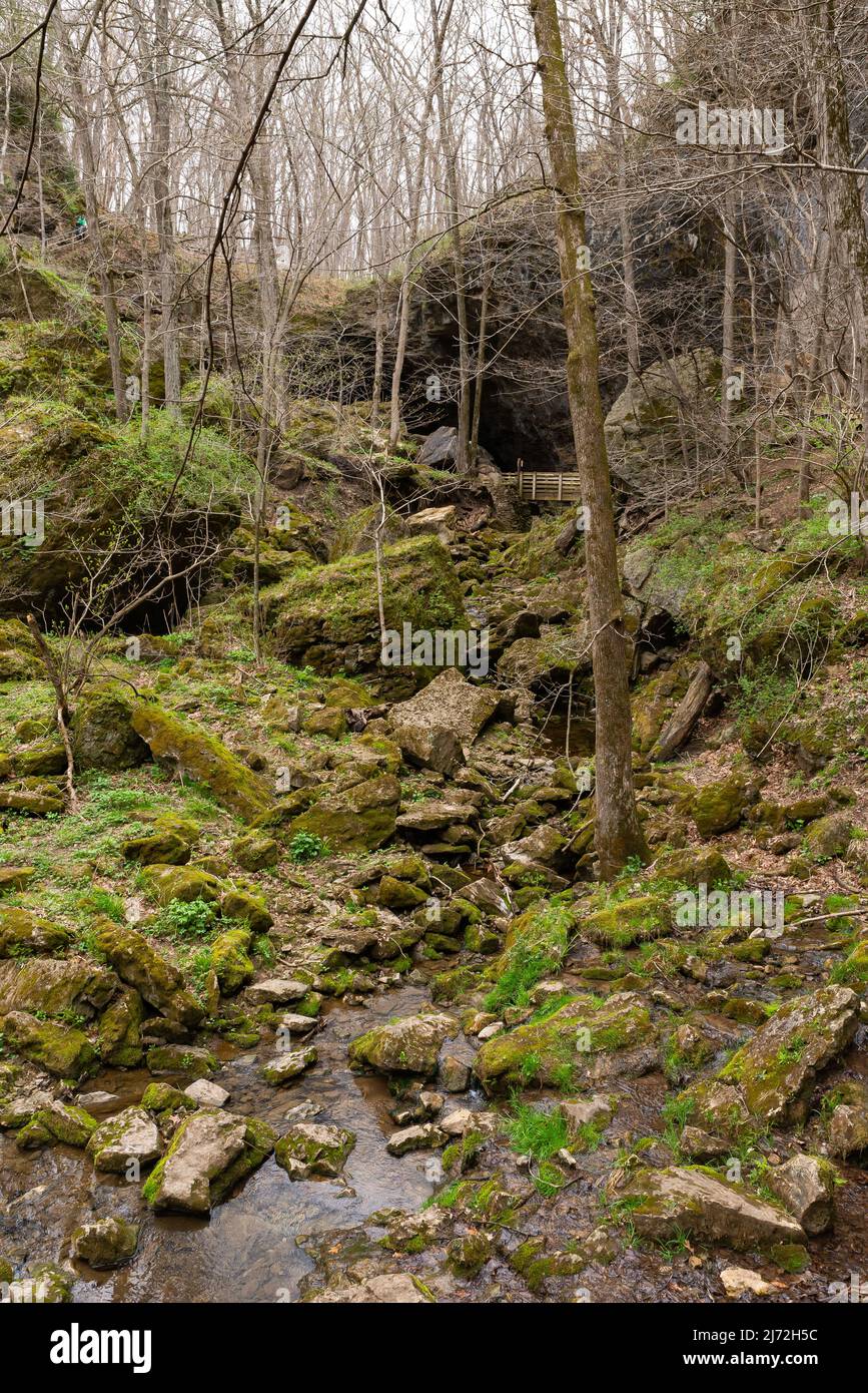 Landschaft im Maquoketa Caves State Park an einem bewölkten Frühlingsmorgen. Stockfoto