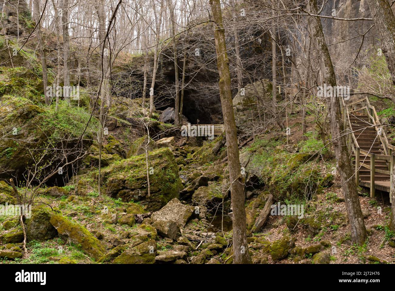 Landschaft im Maquoketa Caves State Park an einem bewölkten Frühlingsmorgen. Stockfoto