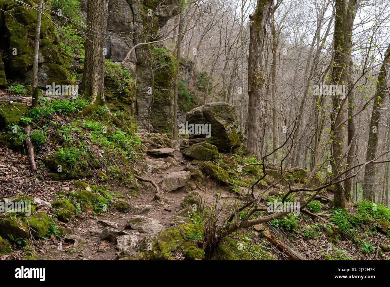Landschaft im Maquoketa Caves State Park an einem bewölkten Frühlingsmorgen. Stockfoto