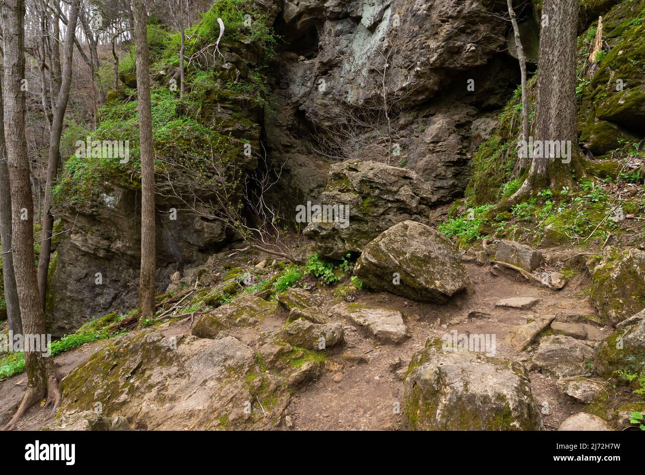 Landschaft im Maquoketa Caves State Park an einem bewölkten Frühlingsmorgen. Stockfoto