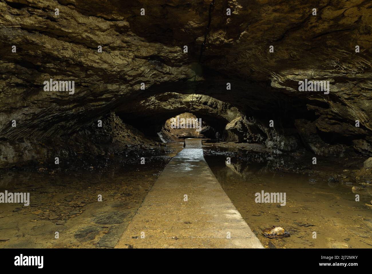 Pfad durch die Dancehall Cave im Maquoketa Cave State Park, Iowa. Stockfoto