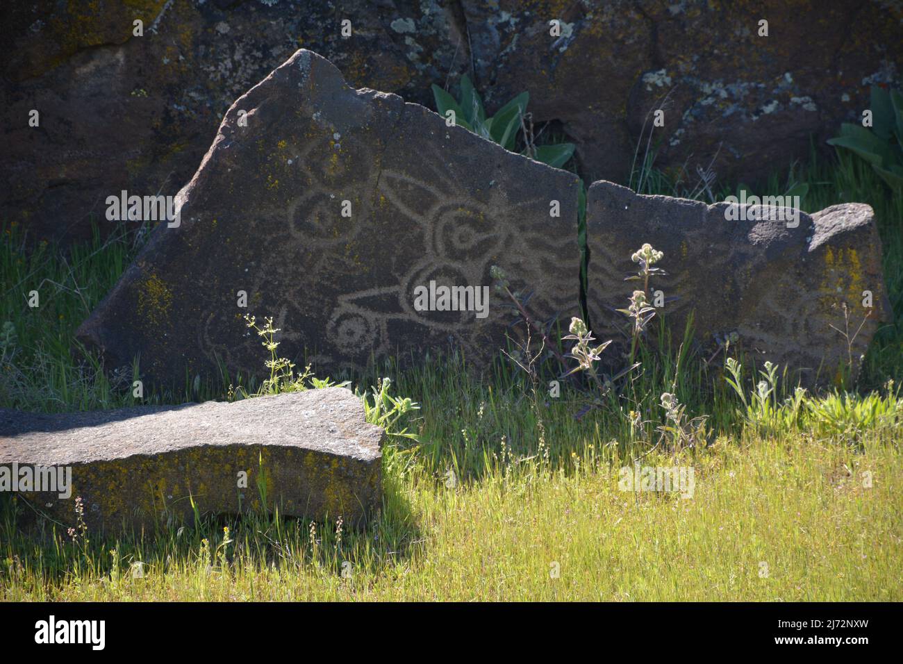 Indianische Petroglyphen und Piktografen am Temani Pesh-Wa-Standort im ...